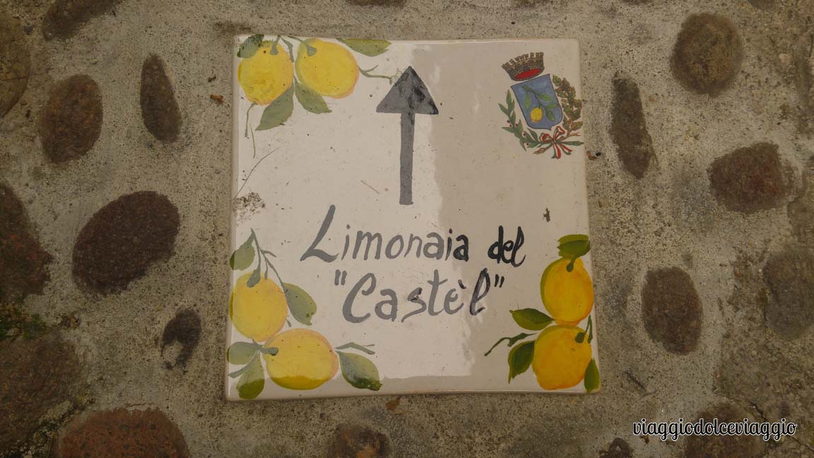 12-limone-lago-di-garda (2)