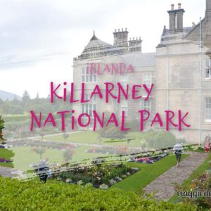 Cosa vedere al Killarney National Park